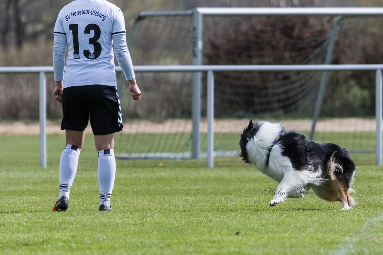 Bild 135 - Frauen SV Henstedt Ulzburg2 : TSV Schoenberg : Ergebnis: Abbruch